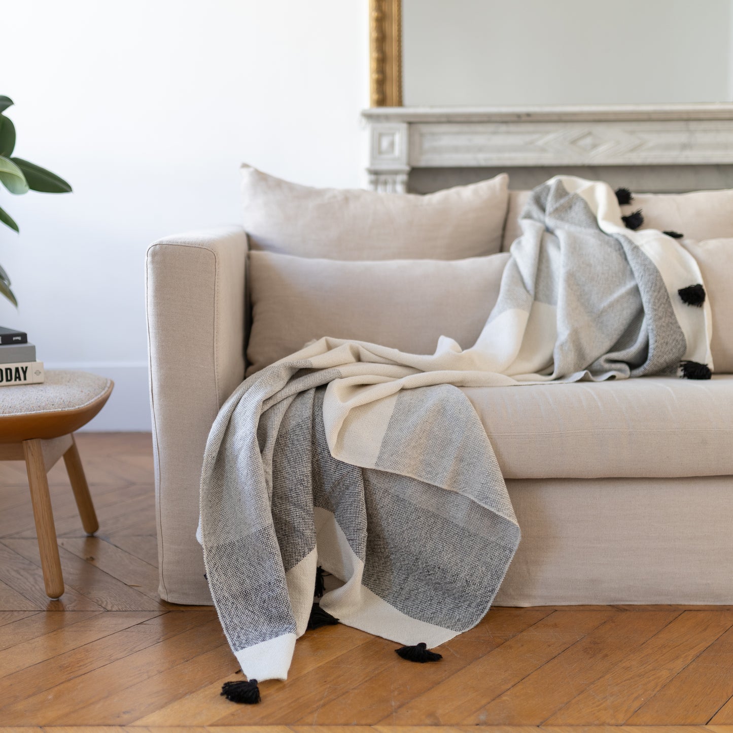 Couverture Lamini