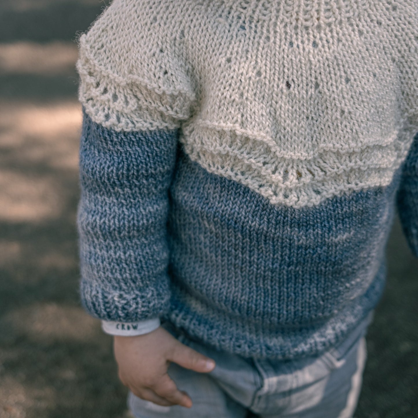 Pull Bicolore