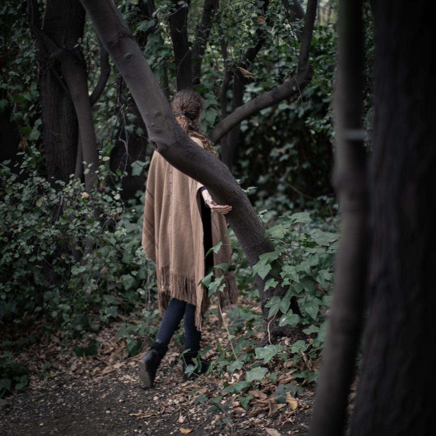 Linzor Poncho