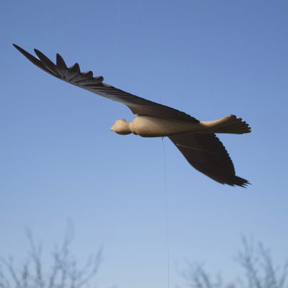 Oiseaux en bois
