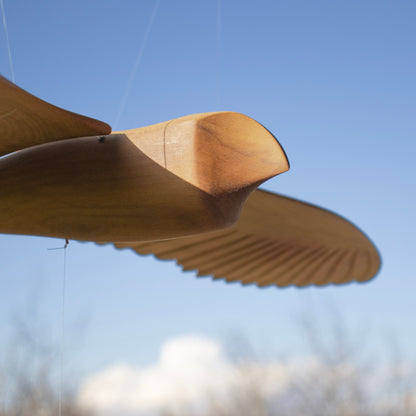 Oiseaux en bois
