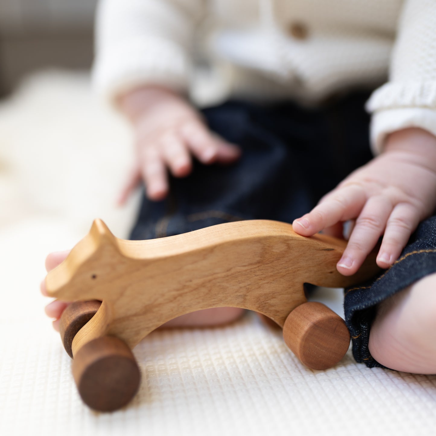 Little fox on wheels