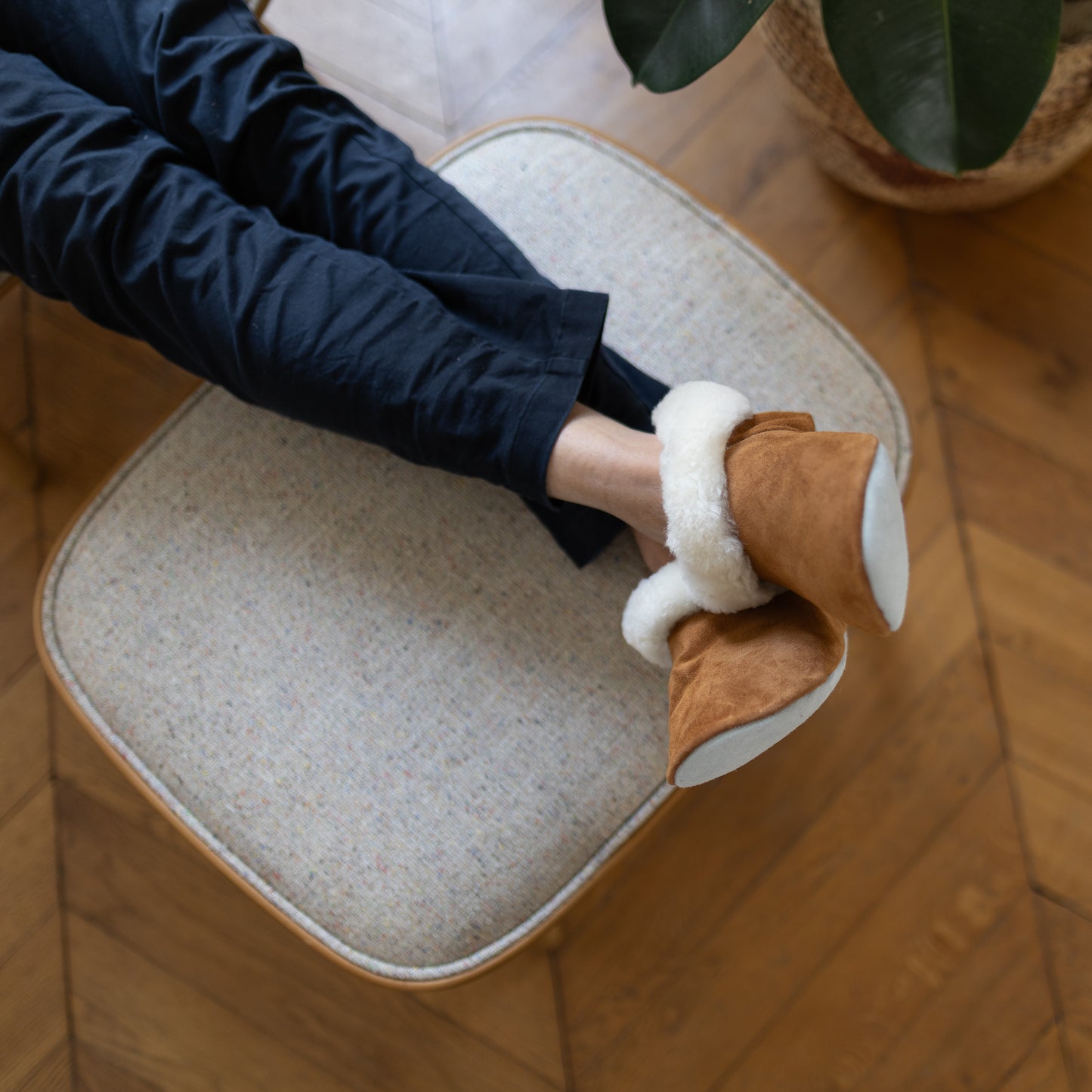 Chausson Oveja