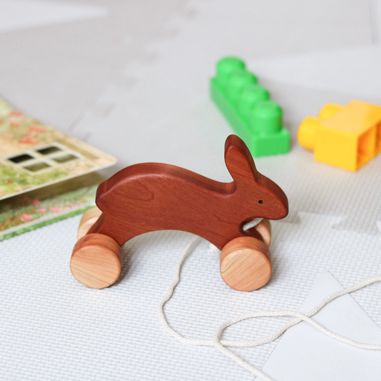 Petit lapin à roulettes