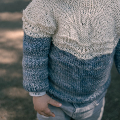Pull Bicolore