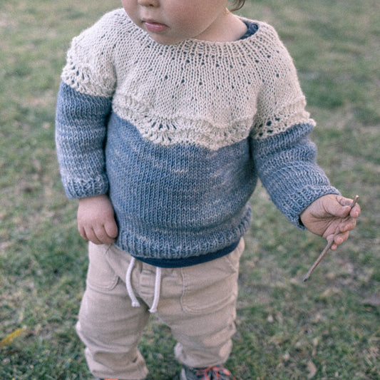Pull Bicolore