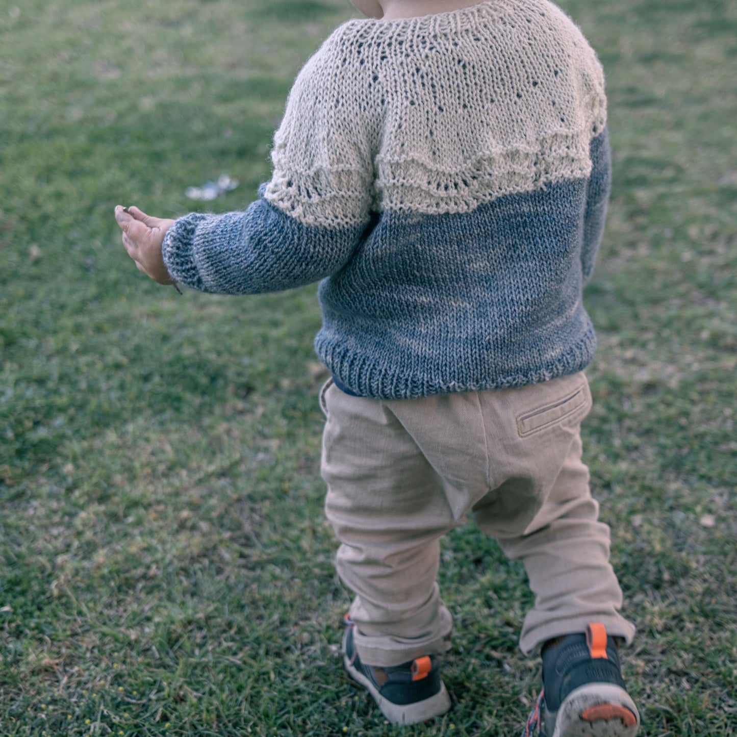 Pull Bicolore