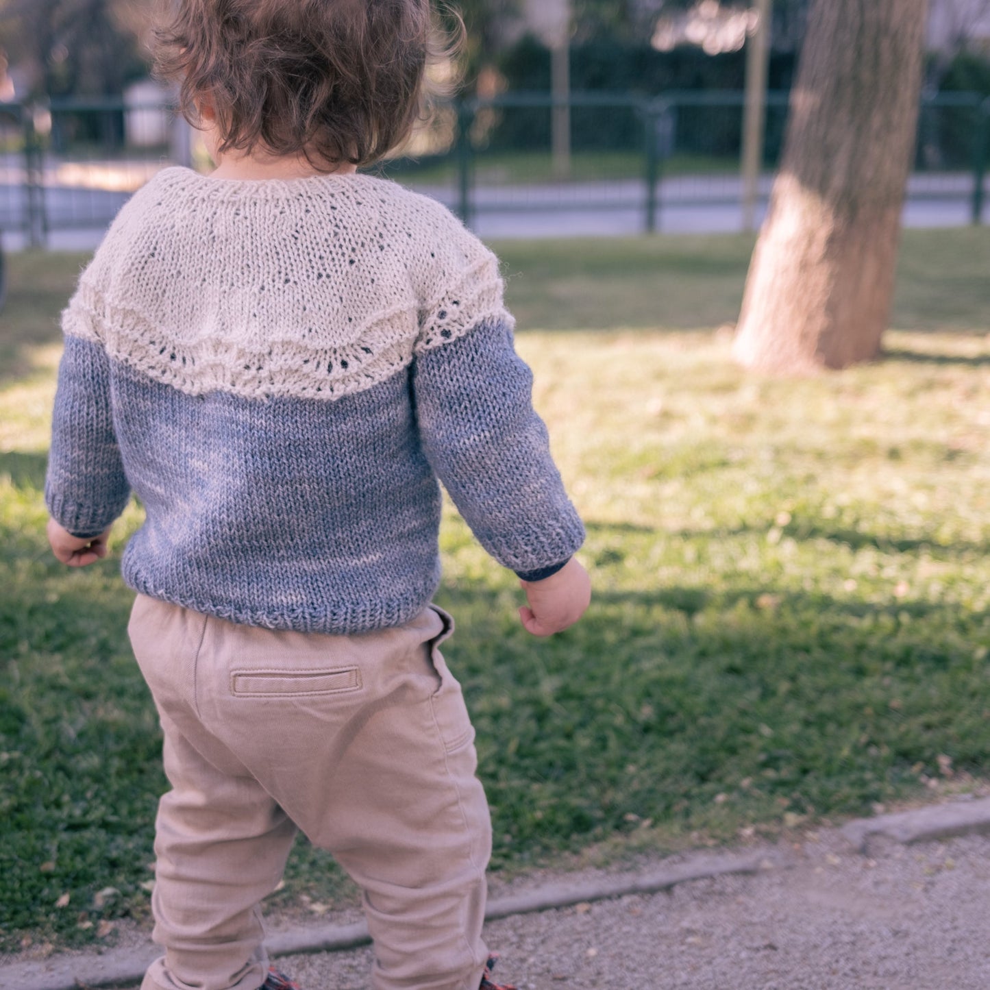 Pull Bicolore